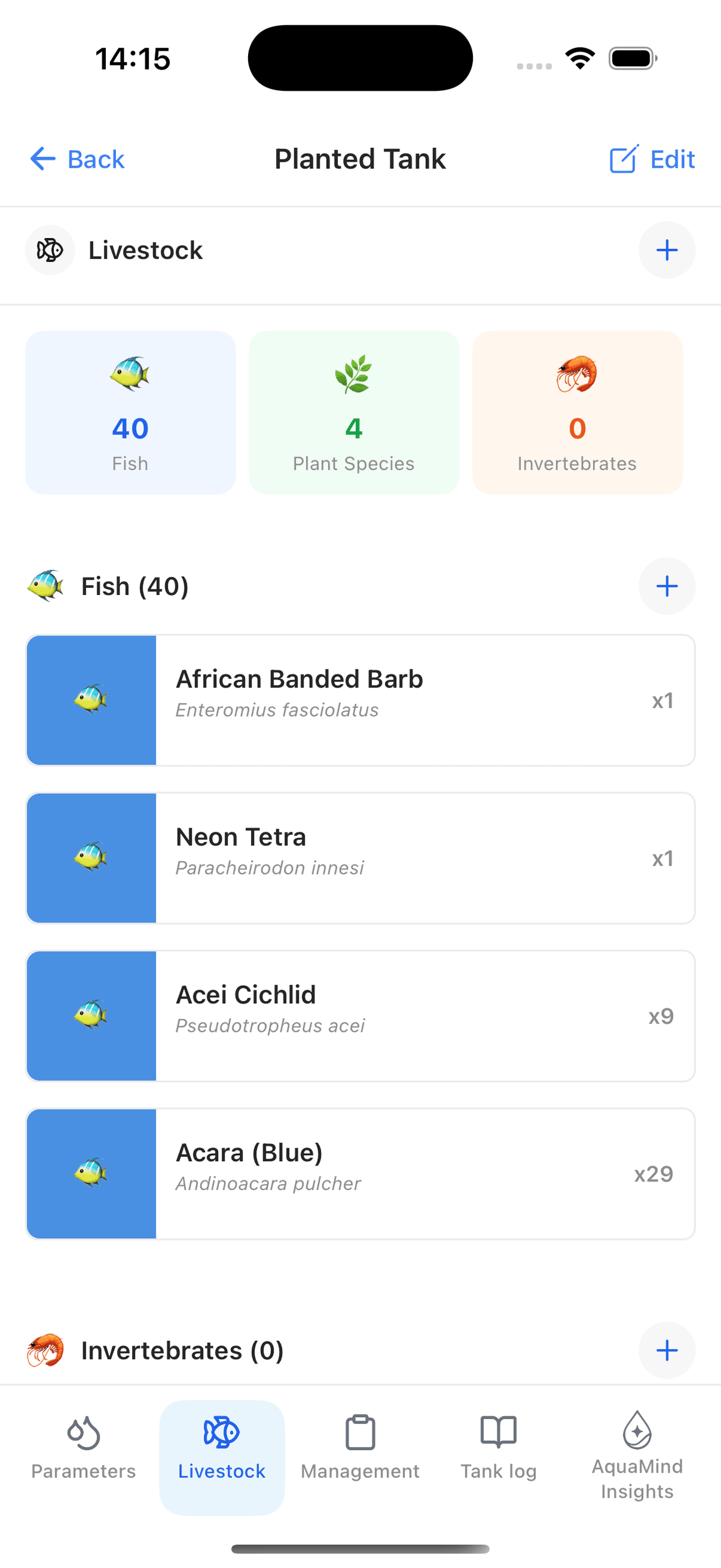 Colorful aquarium fish and plants