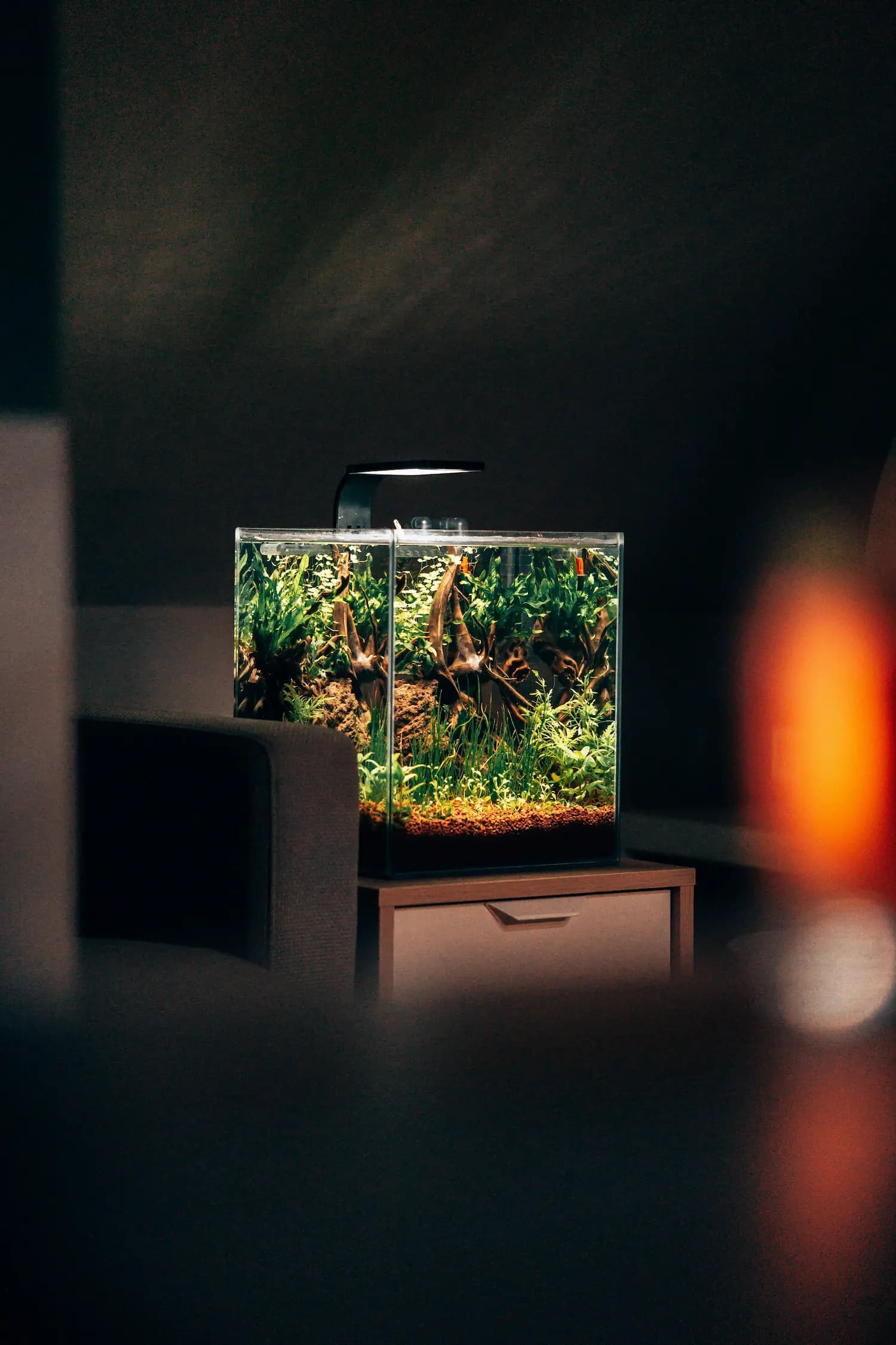 Aquarium tools and notebook beside a planted aquascape