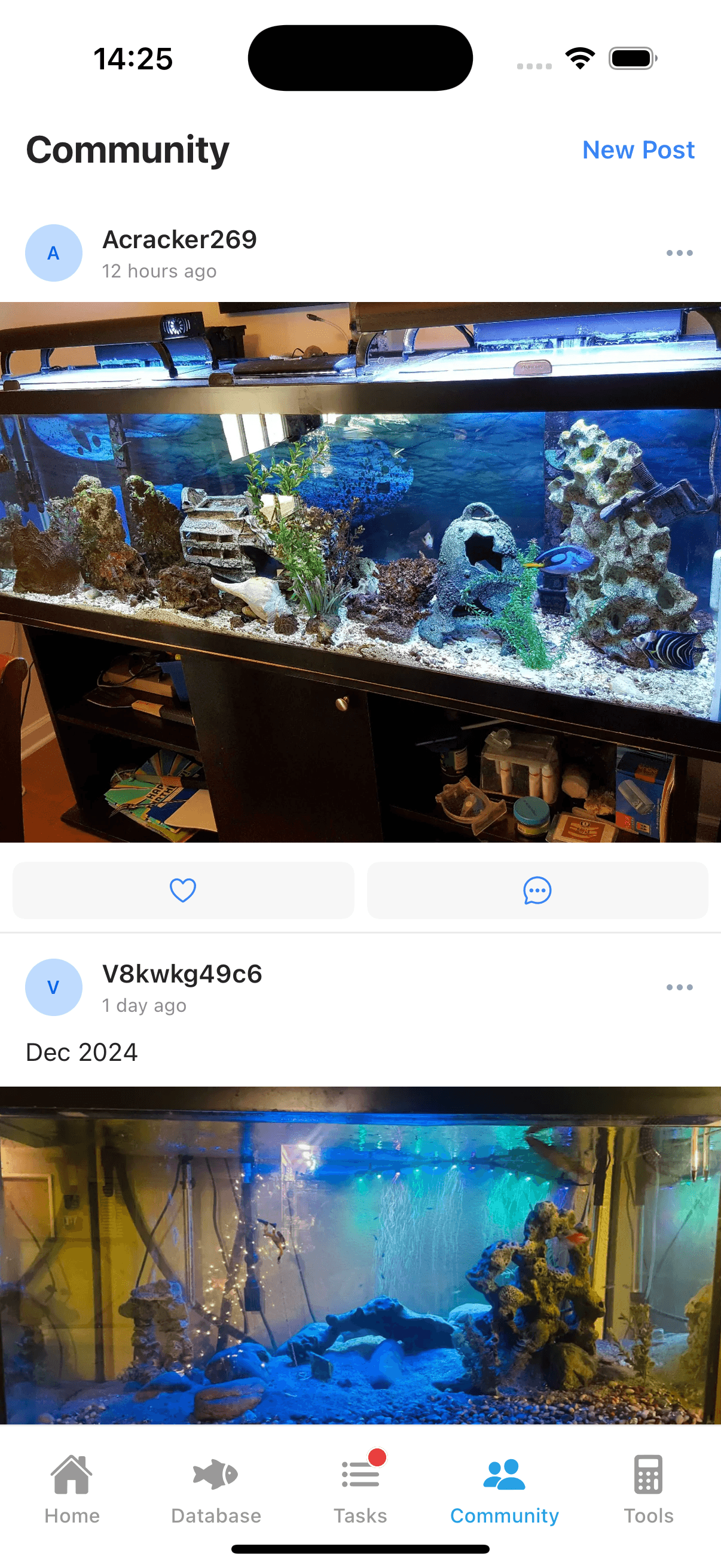 Community post with aquarium photos