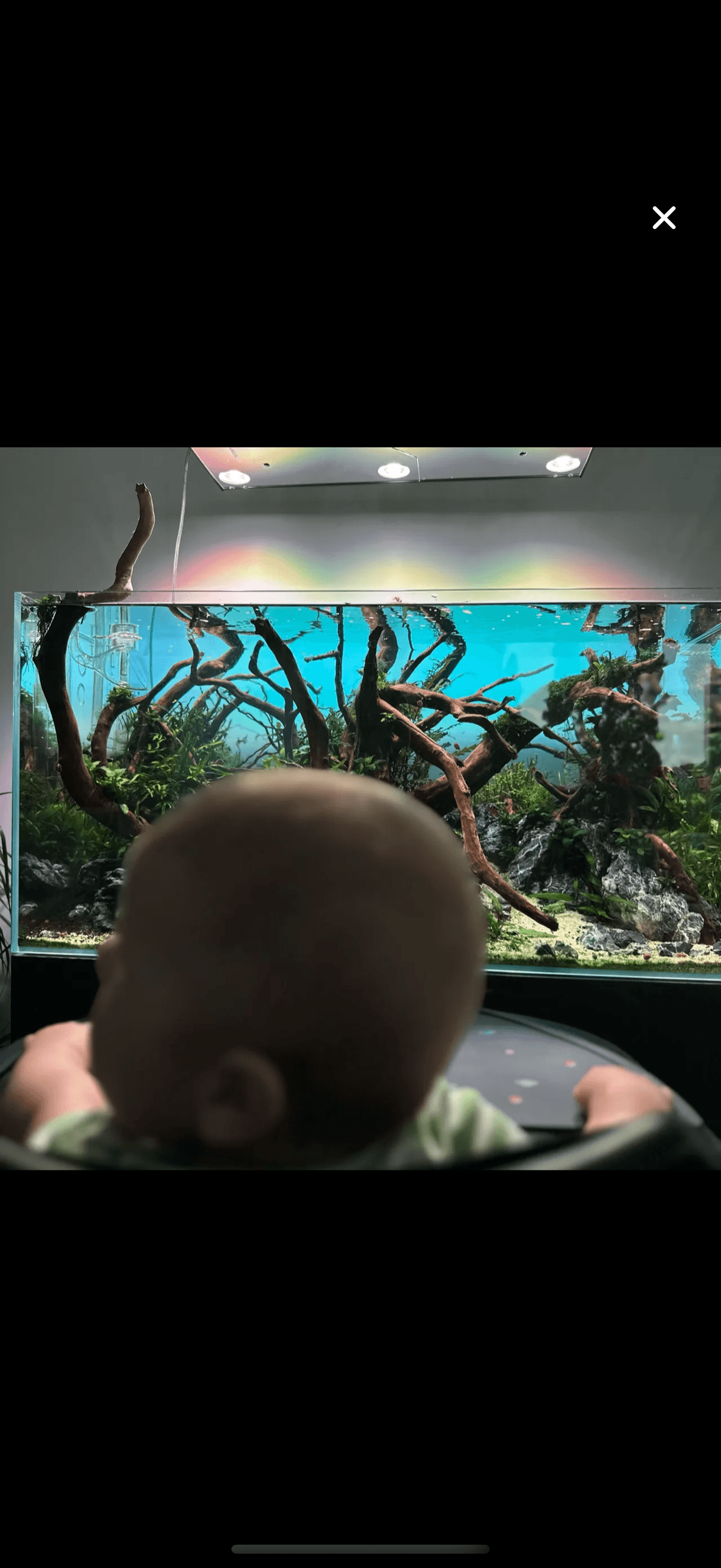 Aquarium community feed with photos and comments